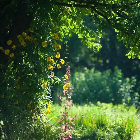 Çiftlik konaklama Cichy Zakatek Rabka-Zdrój