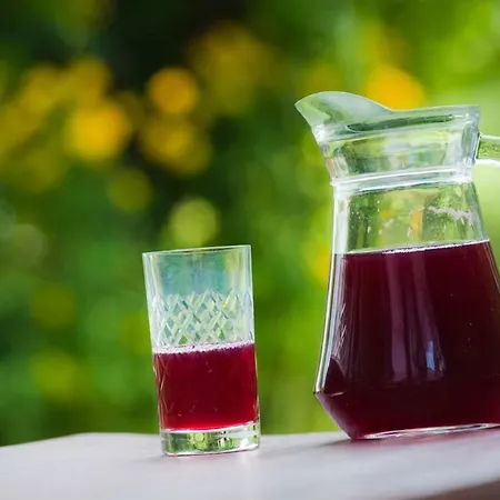 Çiftlik konaklama Cichy Zakatek