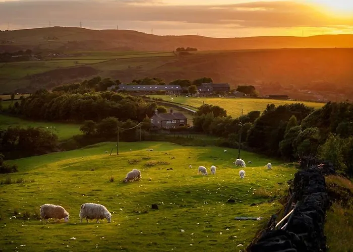 Cichy Zakatek * רבקה
