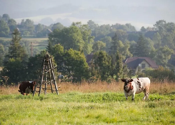 Cichy Zakatek Rabka-Zdrój