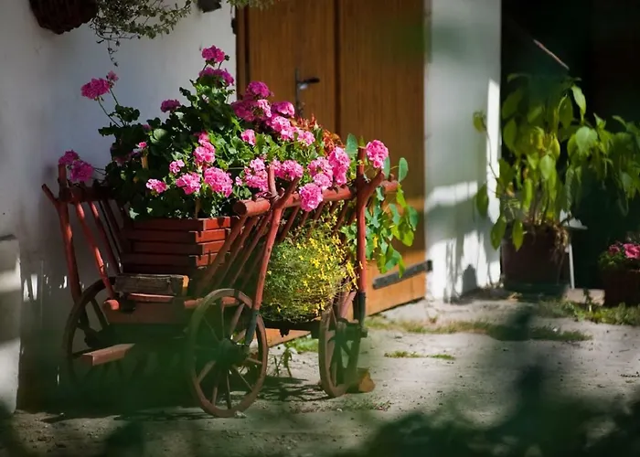 Cichy Zakatek בית חווה רבקה